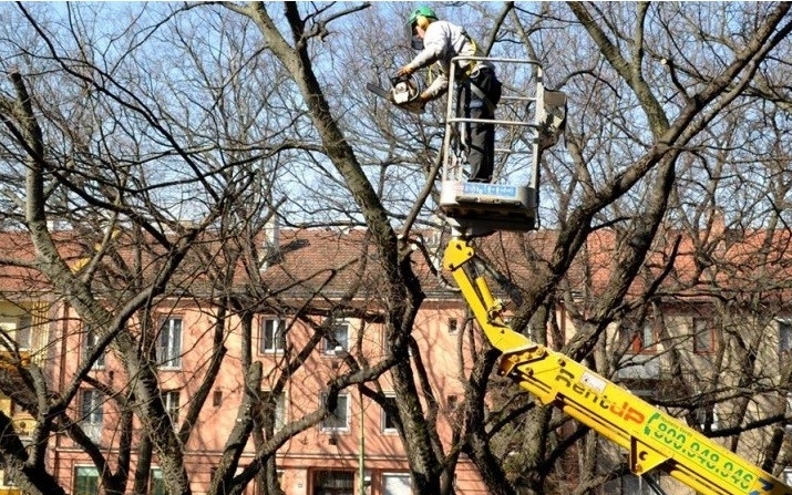 Elkezdődtek a fasori munkálatok a városban