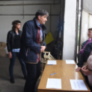 Szebb, virágosabb Ceglédért