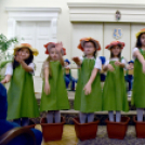 A szociális területen dolgozókat köszöntötték