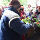 Szebb, virágosabb Ceglédért