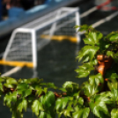 Városi Strand - Akkor és Most