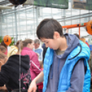 Családi tökfaragás az Oázis Kertészetben