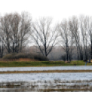 Belvízkárok Cegléden