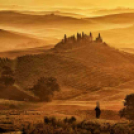 MAFOSZ kiállítás képei