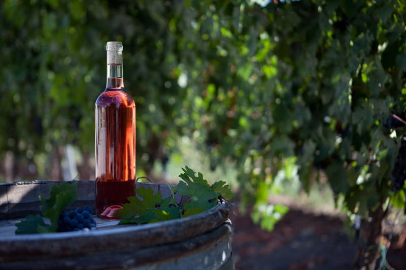 Kökény és Fia Családi Borászat