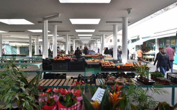 Polgármesteri tájékoztató