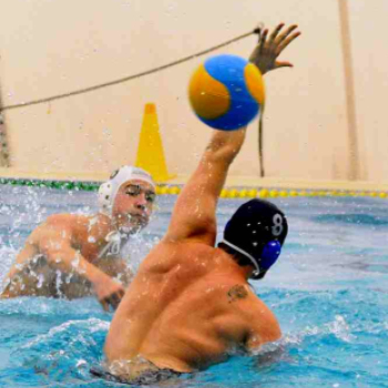 Ceglédi Vasutas Sport Egyesület - PVSK PSN (Pécs) 13:10