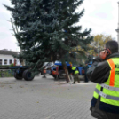 Felállították a város karácsonyfáját