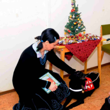 Gyengén látók karácsonya