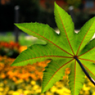 Színpompás bemutató