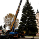 Megérkezett a város karácsonyfája