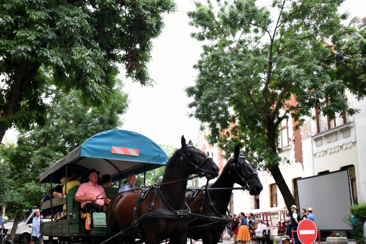 Múzeumok Éjszakája