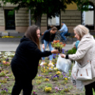 Ments meg egy árvácskát!