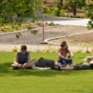 Nyitott Pince Napok - Kökény és Fia Családi Borászat