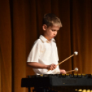 Jubileumi Táncsics est