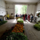 Szebb, virágosabb Ceglédért