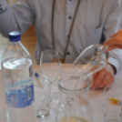 Város Bora választás 2015