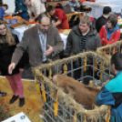 Pályaválasztási kiállítás